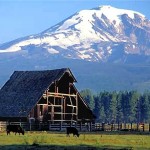 Washington Volcanoes Mount Rainier